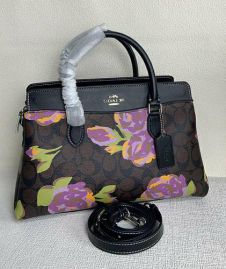 Picture of Coach Lady Handbags _SKUfw150871612fw